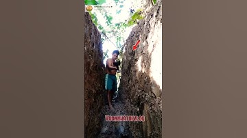 bất ngờ anh chàng có kỹ năng sắn đất mướn miền tây #shorts #fyp