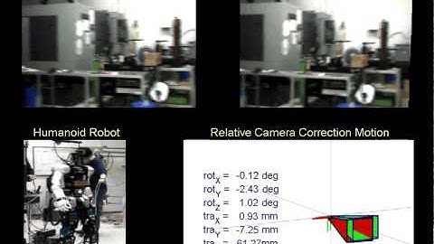 3D Video Stabilization for Humanoid Robot