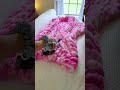 Pink boneless vacuum 💗💨 Shark Home #sharkvacuum #vacuumreview #vacuum #vacuumcleaner #floorcleaning