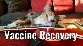 Do Indoor-Only Cats Really Need Vaccines