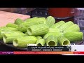 أحلى أكلة شوف طريقة عمل محشي كوسة مع الشيف علاء الشربيني أحلى أكلة شوف طريقة عمل محشي كوسة مع الشيف علاء الشربيني