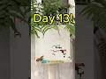 Pls subscribe to help me quit my job #viral #art #challenge #shorts