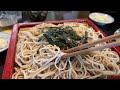 Hakone Day Trip from Tokyo | Trains, Soba Noodles and Volcanos