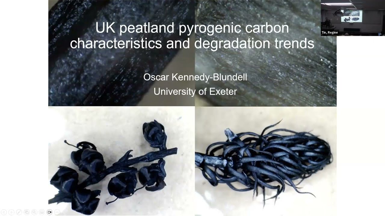 GSI Seminar: UK peatland pyrogenic carbon characteristics & degradation trends