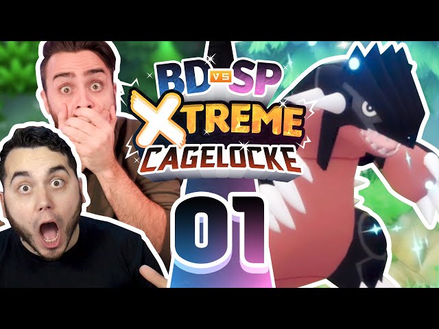 FINISHED]Return of the X-treme: A Pokemon Diamond Extreme Randomizer  Nuzlocke