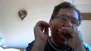 Video thumbnail of "Santa Lucia + harmonica"