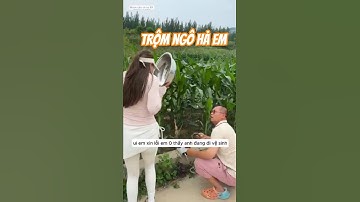 gái xinh xin ngô làm mồi câu bị anh chủ nhà tưởng là ăn trộm và cái kết  #fishing #cauca