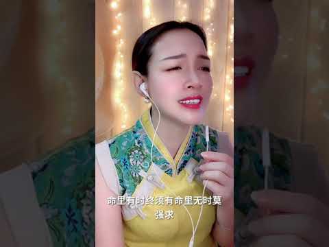 《浪子心聲》— 娟子