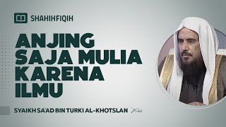 Download Lagu Anjing Saja Mulia karena Ilmu - Syaikh Sa'ad bin Turki Al-Khotslan #nasehatulama #fatwaulama MP3