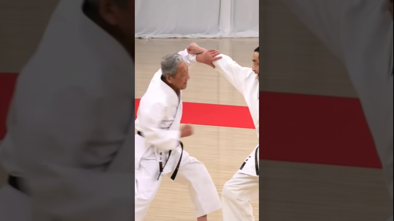 itosu ryu karate #karate