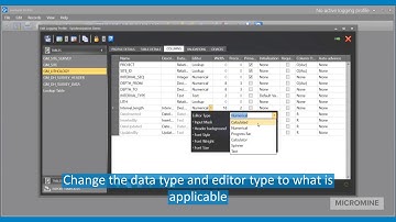 Geobank Mobile 2019 - Setting up a Calculated Column