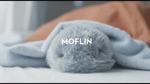 Robot thú cưng Moflin đến từ triển lãm công nghệ CES 2021