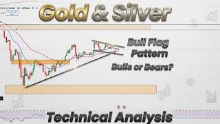 Gold &amp; Silver Bull Flag Pattern| Bulls or Bears? | Technical Analysis
