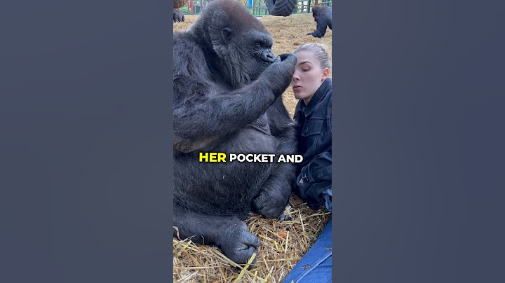 She sneaks something shocking to this gorilla 😅🦍