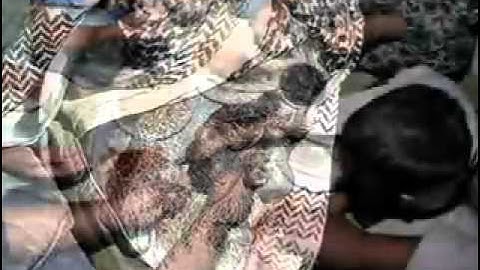 وَأَوْحَى رَبُّكَ إِلَى النَّحْلِ | تلاوة رائعة