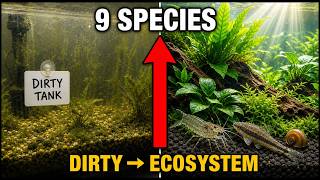 9 Fishes That Turn Your Fish Tank Into a Self-Sustaining Ecosystem