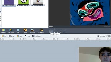 How To Make Jimmyhogs Major 2 AVS Video Editor
