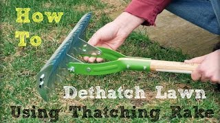 How To Dethatch Lawn Using A Thatching Rake Youtube