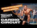 Free insanity cardio circuit workout  official insanity sample workout