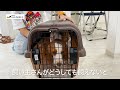 【どうしても飼えない】飼い主と共にやってきたビーグル犬：５４０