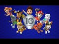 10 years of paw patrol