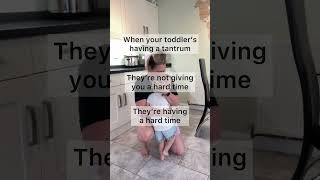 I Find It Crazy That Were Told To Ignore Punish Toddler Tantrums