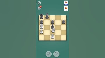 Level 291 - Pocket Chess