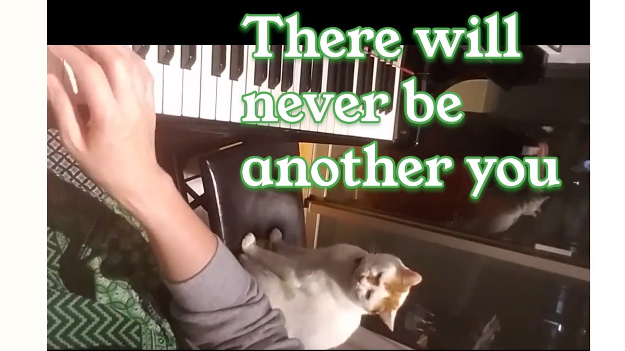 There will never be another you