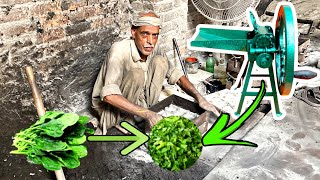 How Spinach Cutter Machines are Made | How to Make Spinach Cutter by Manufacturing Insights 940 views 7 months ago 10 minutes, 45 seconds