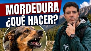 🔴 How to treat a DOG BITE (First aid) 🔴 How to treat a DOG BITE (First aid)