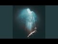 Sister Of The Void From Hollow Knight Silksong 