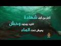 الدليل المفقود بصوت فراس الصيفي الجزيرة Aljazeera الدليل المفقود بصوت فراس الصيفي الجزيرة Aljazeera