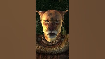Thumbnail of Oblivion bandit warns me about bandits
