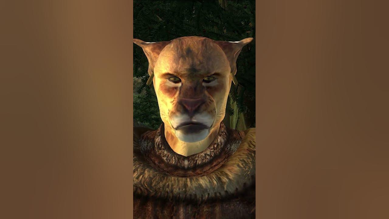 Oblivion bandit warns me about bandits