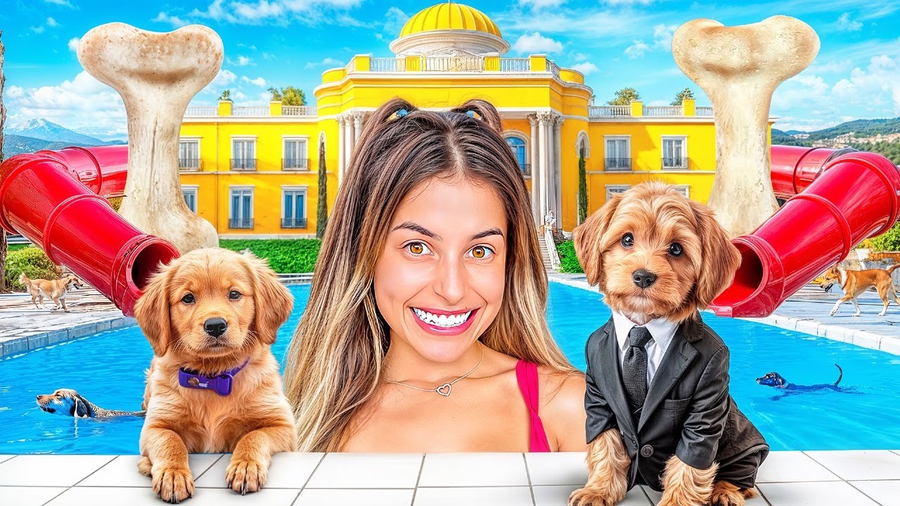 Transformei os Studios em hotel 5 estrelas para cachorros — os hóspedes decidiram a nota!!