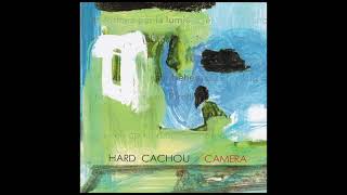 さかな（のSSE作品について）｜zu-hause