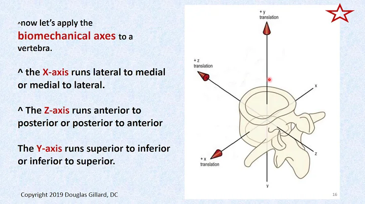 Biomechanics of the Motion Segment: Just the Basics: Week #10, Spinal Anatomy, Winter, 2020