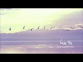 صحيح ما رأيت النور من وجهك قصيدة مدح الرسول محمد صلى الله عليه وسلم صحيح ما رأيت النور من وجهك قصيدة مدح الرسول محمد صلى الله عليه وسلم