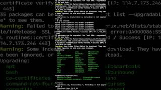 banyak juga ya isi termux setelah di upgrade dan update #termux #termuxandroid  #berandafyp #shorts