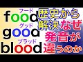 doesをダズと読む理由まで分かる動画
