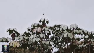 Compilation of Real UFOs Caught on Tape by Eyewitnesses