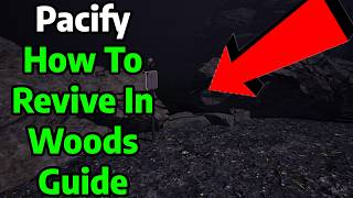 How To Revive Yourself in Level Woods Guide | Pacify screenshot 5