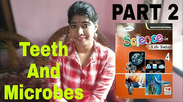 Class 4 Science Chapter 6 || CBSE Board || Prachi || Teeth And Microbes (Part 2)