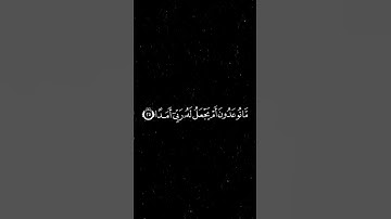 (قل إن أدري أقريب ما توعدون أم يجعل له ربي أمدا) | الشيخ ماهر المعيقلي سورة الجن.