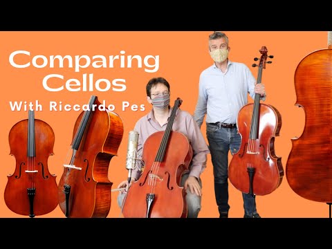 Comparing Cellos with Riccardo Pes 🎻