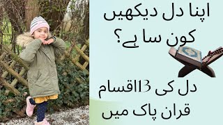 Dil Ki 13 Iqsamramazan 2024Vlog Germany