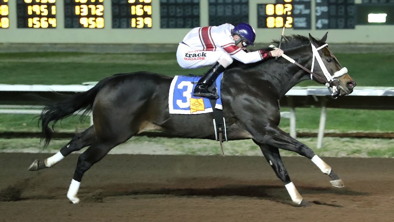 AQHA Racing Challenge Update - 2021 Championships Recap