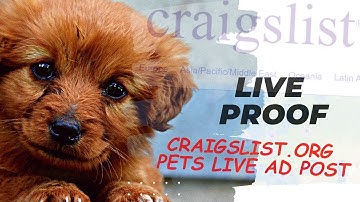 How to post Craigslist Pets section #Craigslist pets live ads proof, with luminati /bright data ip.