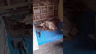Brae House East Interior Wall Removal Video 21