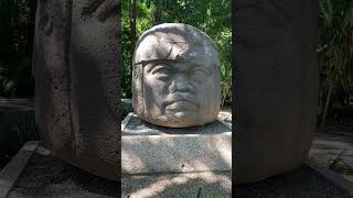 Cabeza olmeca gigante en La Venta, Villahermosa 🗿🌿🇲🇽